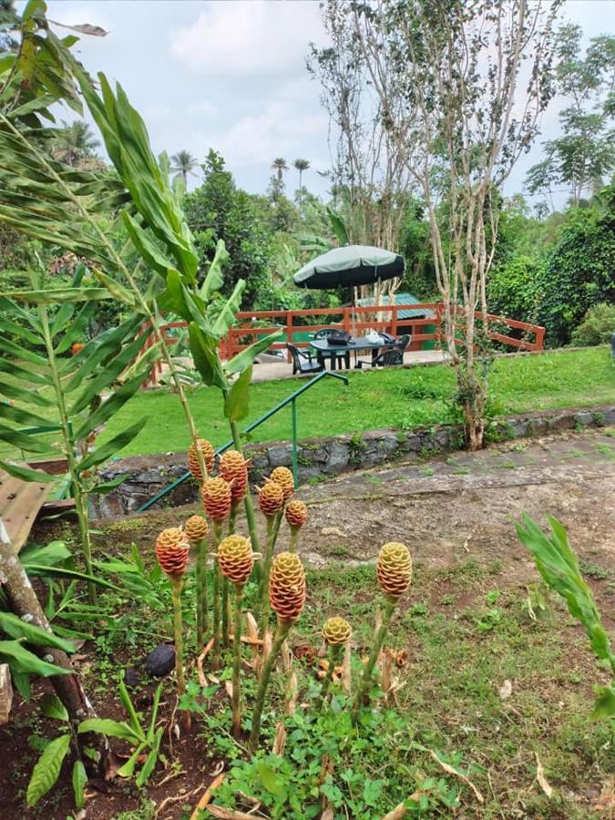 Graca Guest House Quinta Natural Bangalots מראה חיצוני תמונה