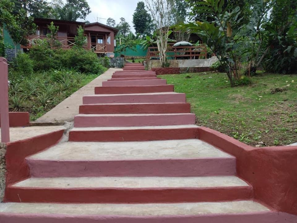 Graca Guest House Quinta Natural Bangalots מראה חיצוני תמונה