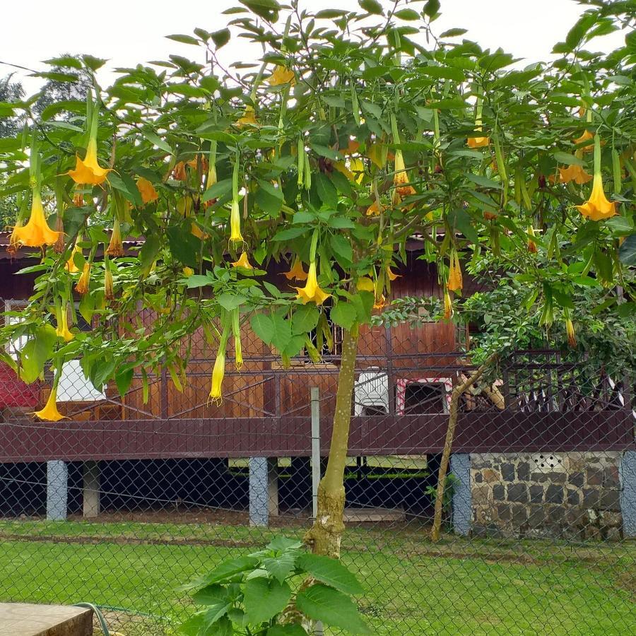 Graca Guest House Quinta Natural Bangalots מראה חיצוני תמונה