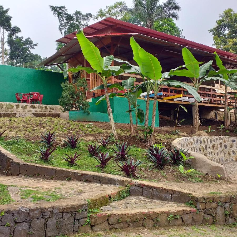 Graca Guest House Quinta Natural Bangalots מראה חיצוני תמונה